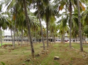 ind 15 front hospital